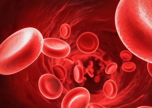 輸液時輸進去的液體都去了哪兒了？