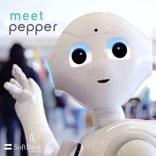 智啟未來(lái)，雙創(chuàng)賦能 盤(pán)點(diǎn)全球機(jī)器人大會(huì)前沿智能服務(wù)機(jī)器人與人工智能雙創(chuàng)服務(wù)